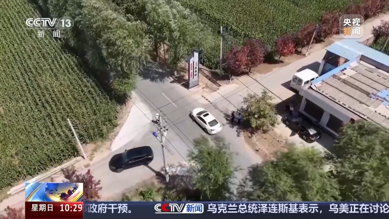 出行提示_無(wú)信號燈路口通行規則_國慶中秋假期交通安全提示