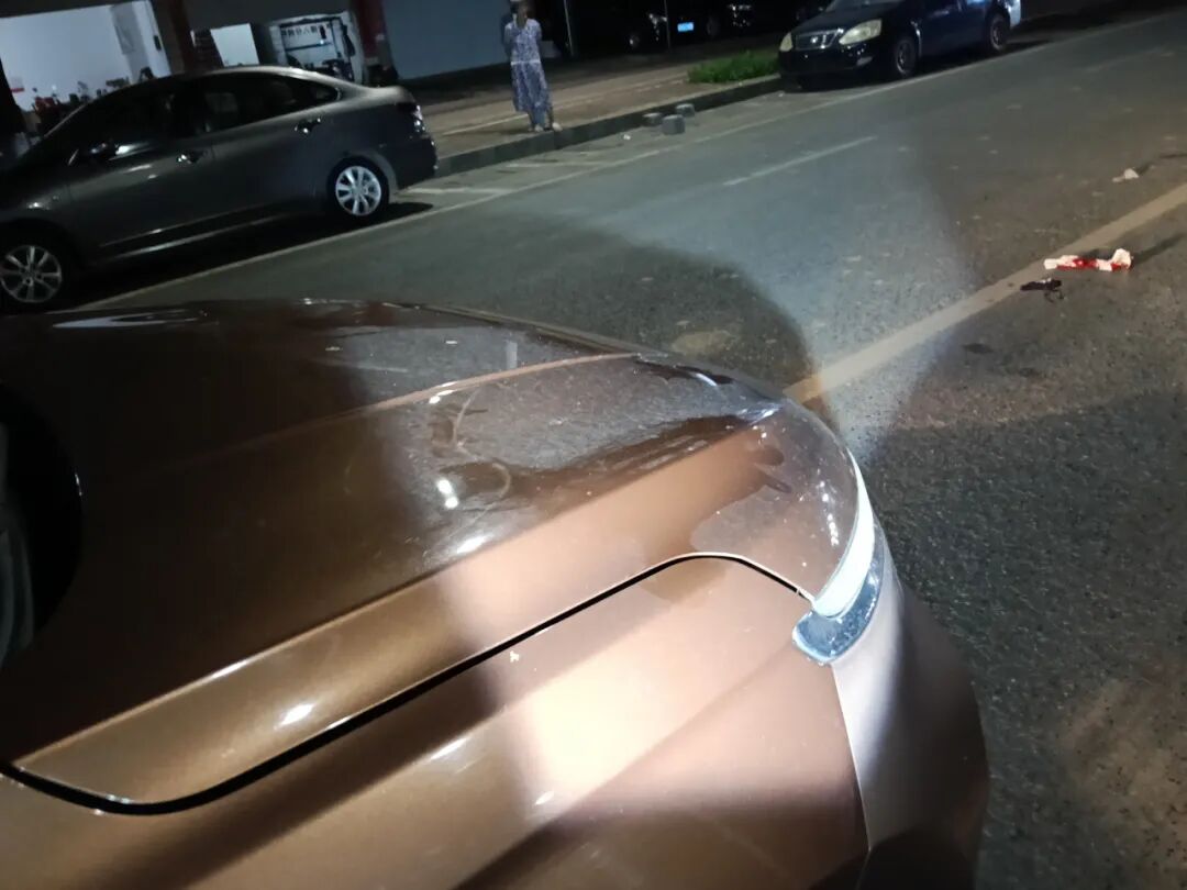 駕駛觀(guān)察禮讓行人_行車(chē)安全注意事項_路況