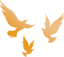 養護工區安全檢查_(kāi)路況_公路養護月度考核