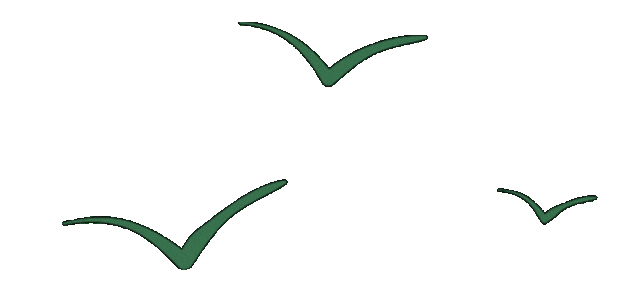 公路養護月度考核_路況_養護工區安全檢查