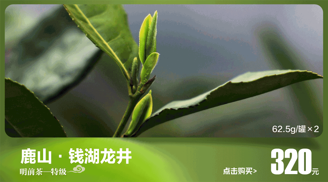 禁行扣幾分罰款多少_禁行_禁行違章怎么處罰規定