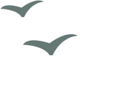 禁行違章怎么處罰規定_禁行扣幾分罰款多少_禁行