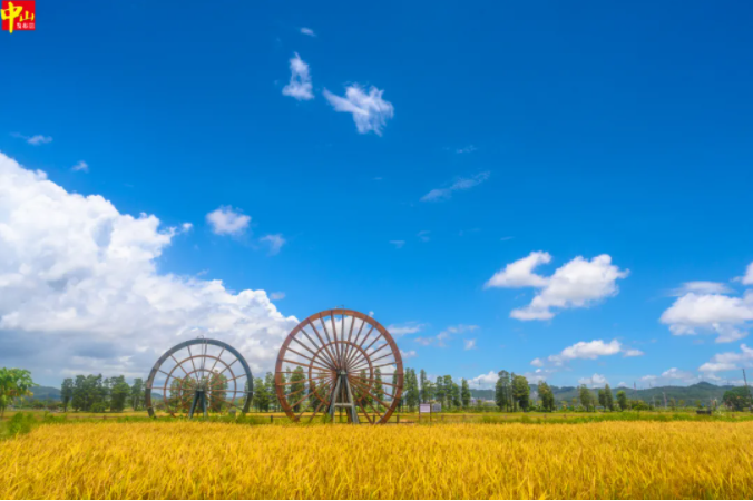 中山臺風(fēng)預報_中山黑煙車(chē)禁行罰款_禁行