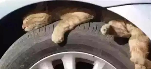 雪天出行指南_雪天駕車(chē)安全技巧_出行提示