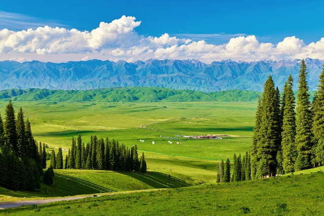 2026新車(chē)牌改革_8位號牌分類(lèi)標識_限行