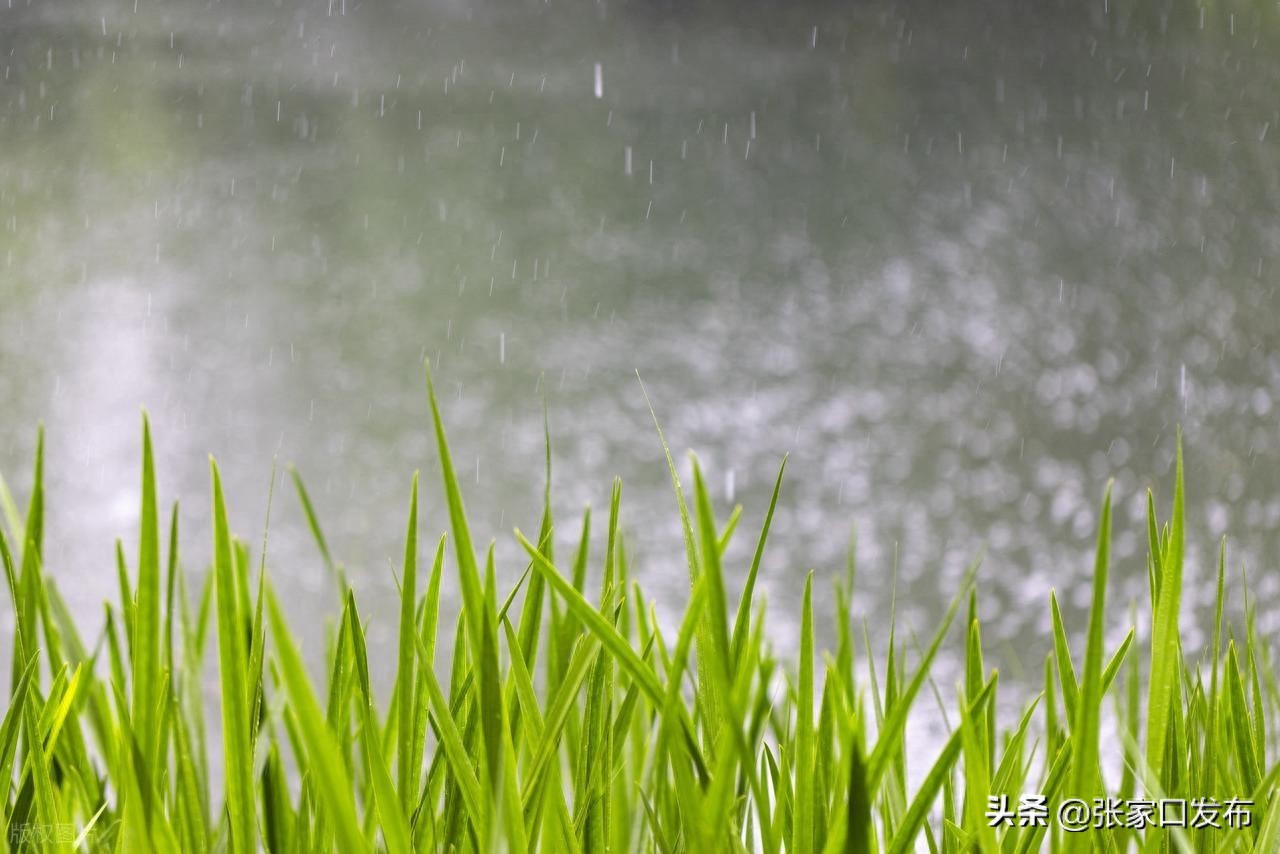 出行提示_橋東區文旅局_汛期旅游安全出行提示