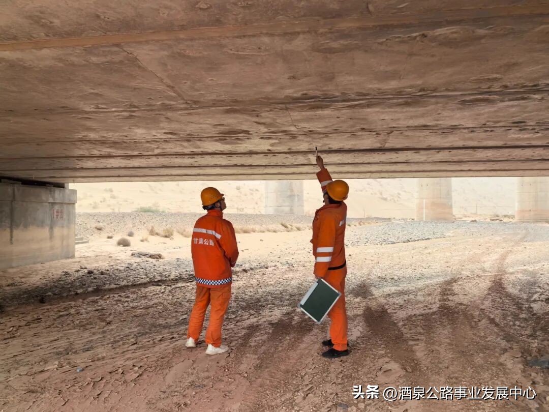 路況_病害分析_路況調查