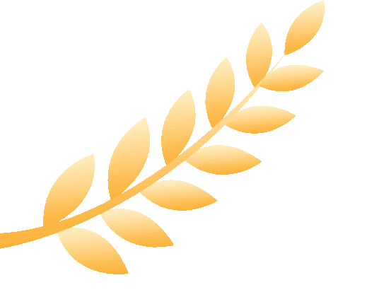 限行_天津國慶不限行_天津尾號限行規定