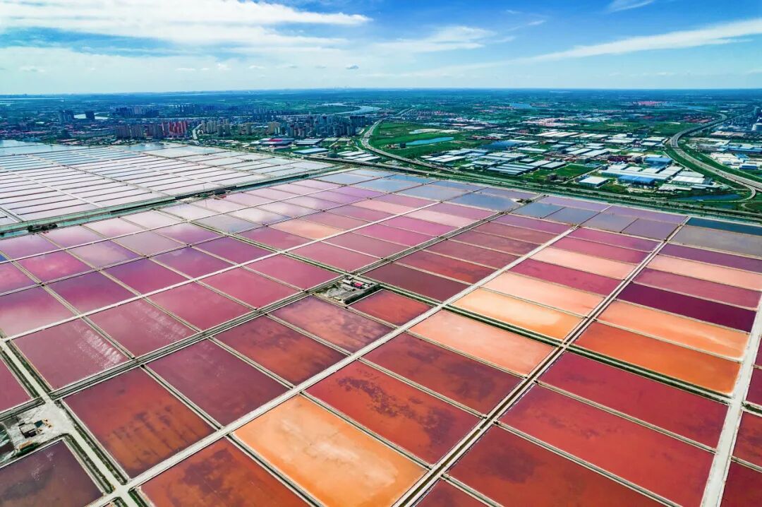 圖蟲(chóng)創(chuàng  )意-1293162718139121697.jpeg