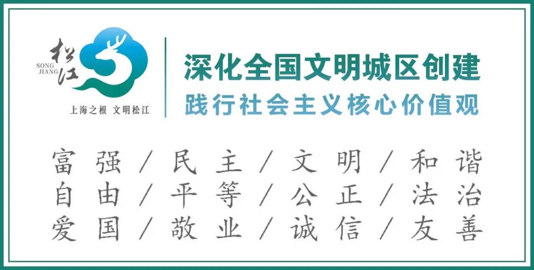 郊區道路事故預防_出行提示_清明2025年交通安全風(fēng)險分析