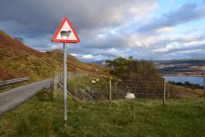 規范燒荒_出行提示_交通安全隱患