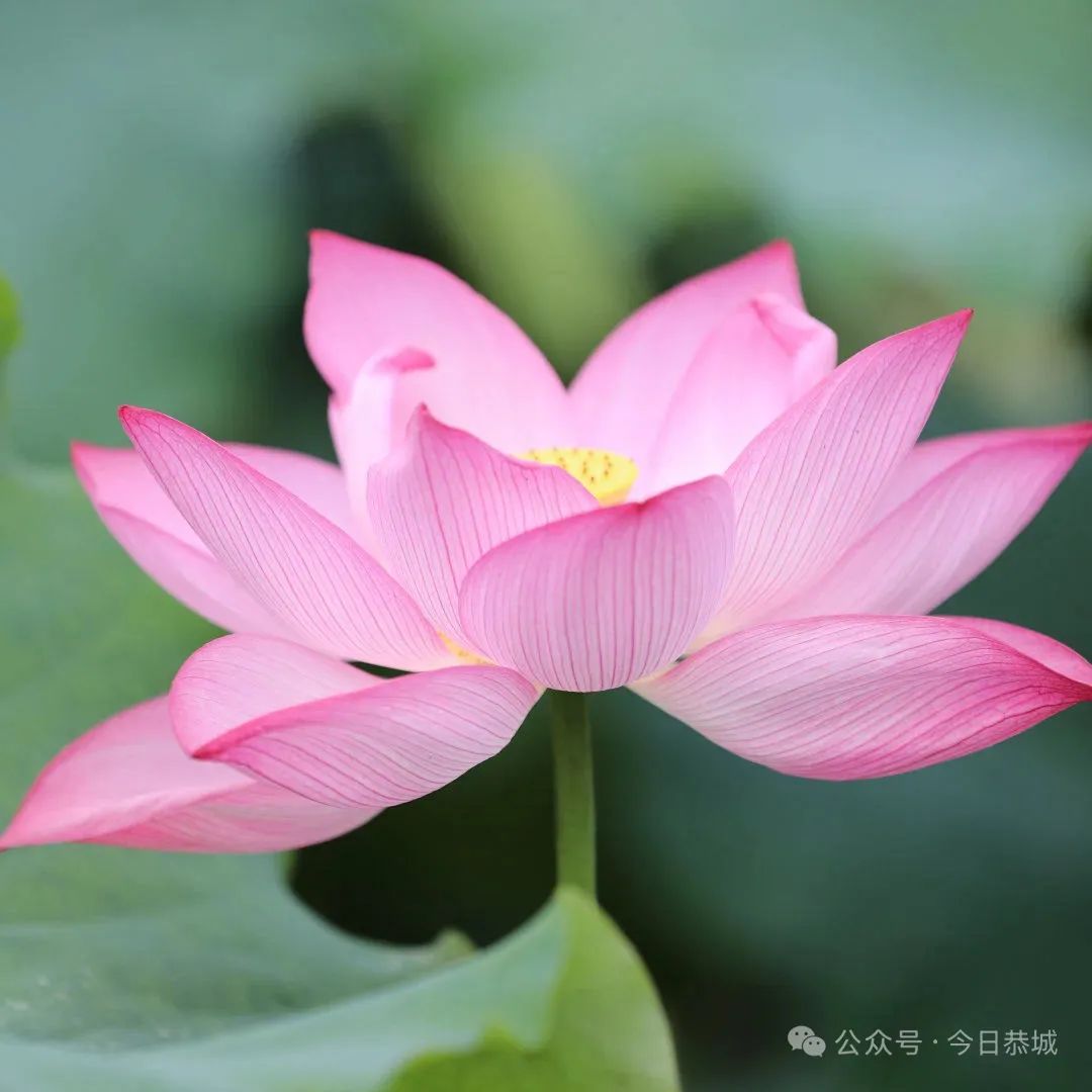 出行提示_桂林廣播與網(wǎng)絡(luò )音頻創(chuàng  )新發(fā)展研討會(huì )_桂林中考出行提示