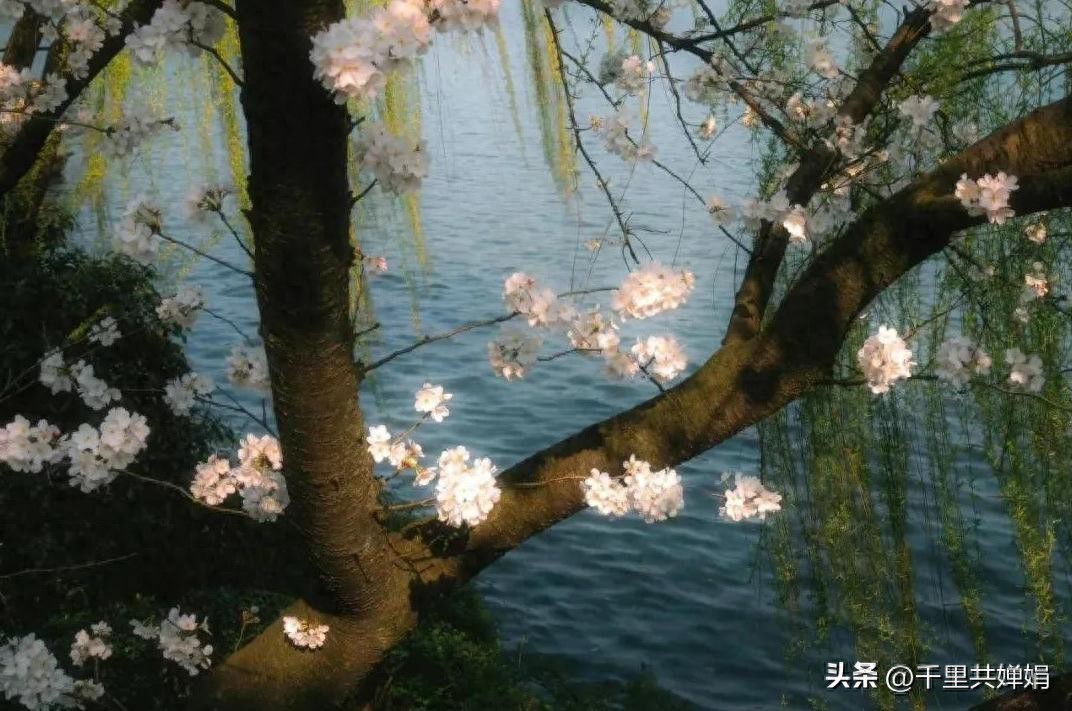 限行_天津限行尾號規則變動(dòng)_天津限行新規字母車(chē)牌管理