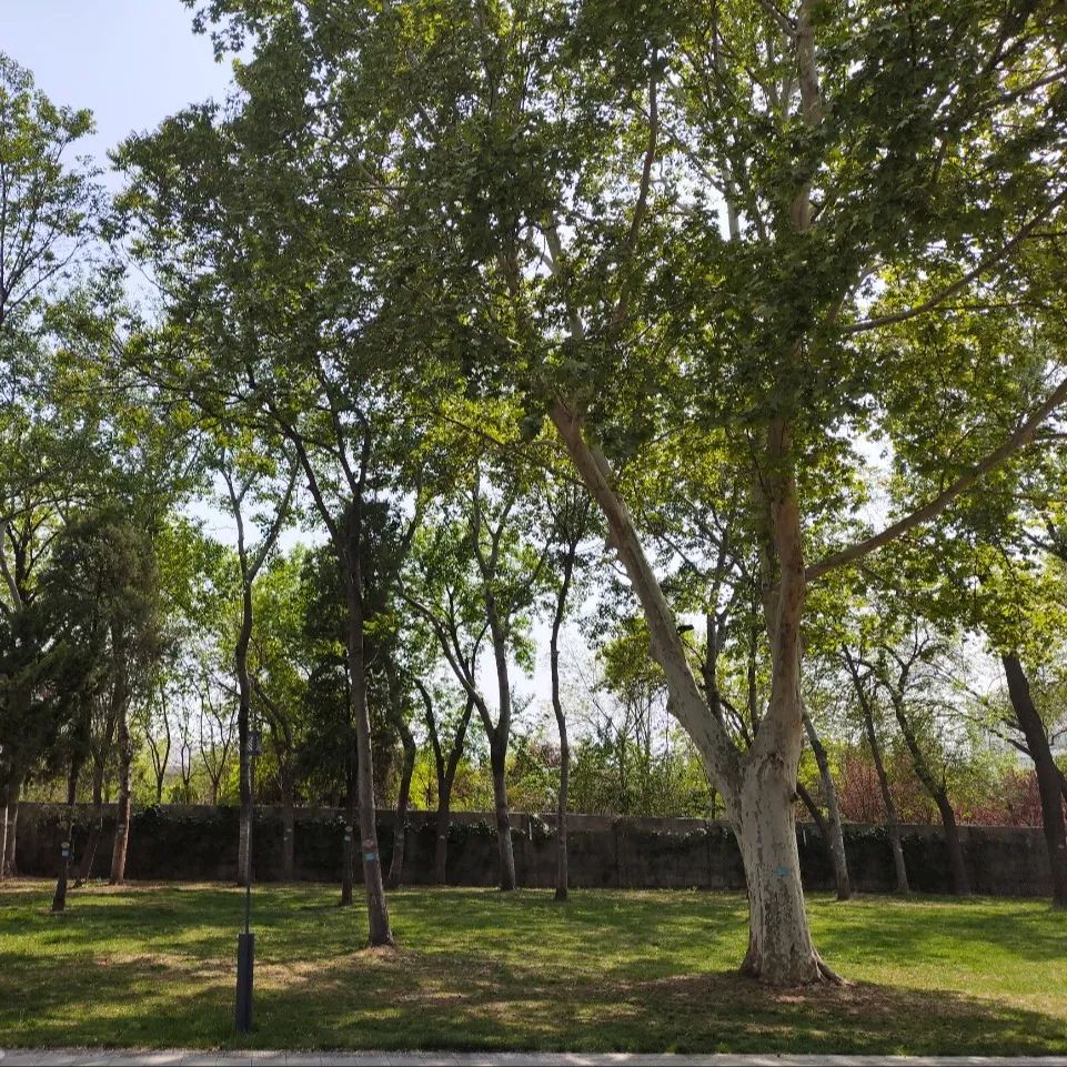 出行提示_五一自駕出行安全提示_自駕旅行安全注意事項