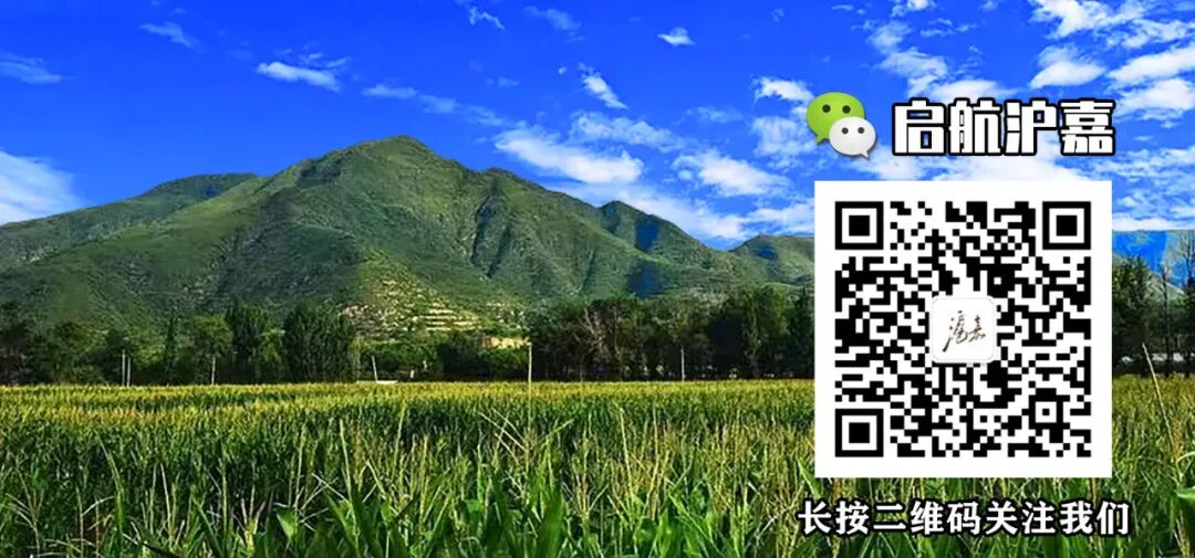 出行提示_滬嘉鄉交通安全提示_道路冰雪黃色預警