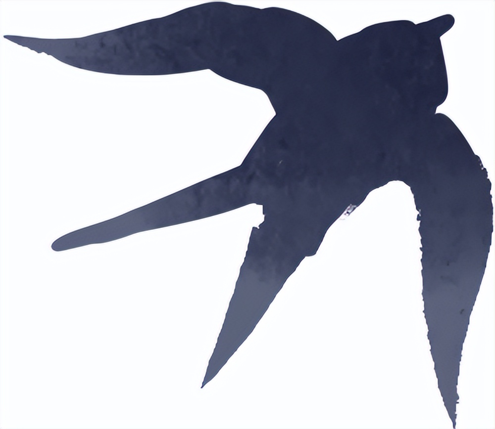 出行提示_秋季雨霧行車(chē)安全_雨霧天氣駕駛注意事項