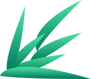 _出行提示_ 端午節銅仁出行安全指南 