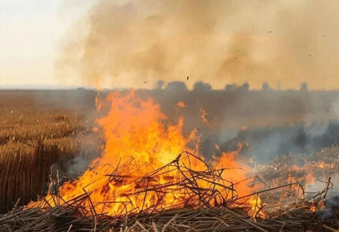 高速公路禁燒規定_出行提示_秸稈焚燒危害